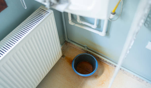 Best Water damage restoration services  in Limon, CO